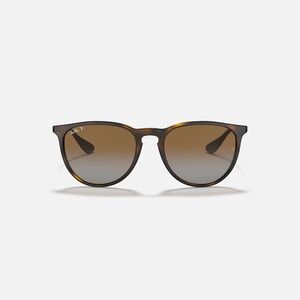 Erika Classic RAYBANS Polarized Tortoise